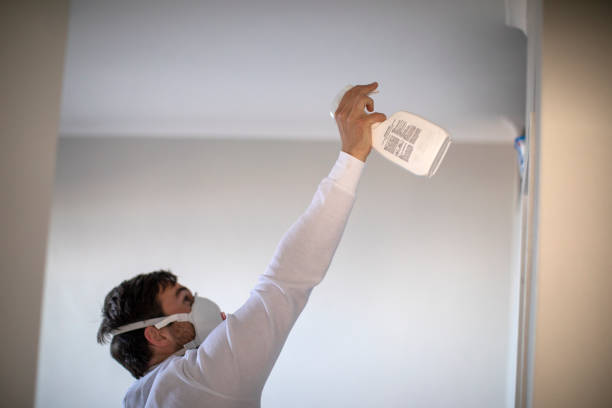 Best Basement Mold Remediation in Del Aire, CA