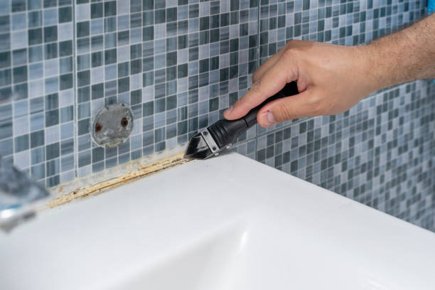  Del Aire, CA Mold Removal Pros